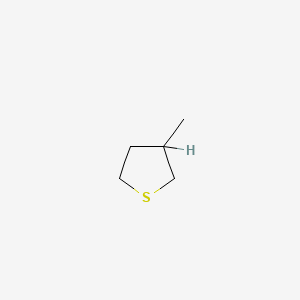 molecular formula C5H10S B1266643 3-Methylthiolane CAS No. 4740-00-5