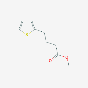 molecular formula C9H12O2S B1266847 4-(2-噻吩基)丁酸甲酯 CAS No. 20828-66-4