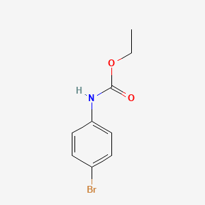 molecular formula C9H10BrNO2 B1266934 ethyl N-(4-bromophenyl)carbamate CAS No. 7451-53-8