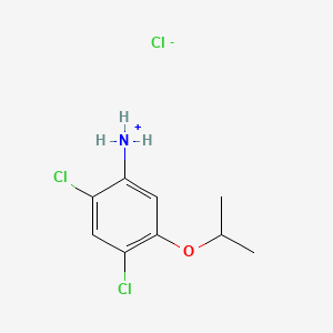 molecular formula C9H12Cl3NO B12670096 2,4-Dichloro-5-isopropoxyanilinium chloride CAS No. 85554-76-3