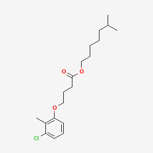 molecular formula C19H29ClO3 B12670747 6-Methylheptyl 4-(chloro-2-methylphenoxy)butyrate CAS No. 93840-66-5