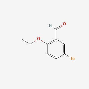 molecular formula C9H9BrO2 B1267203 5-溴-2-乙氧基苯甲醛 CAS No. 79636-94-5