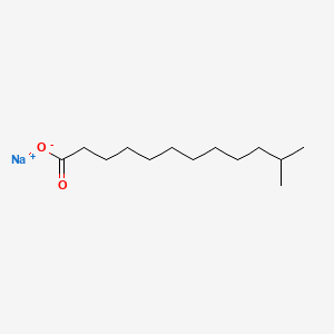molecular formula C13H25NaO2 B12674267 Sodium isotridecanoate CAS No. 28452-16-6