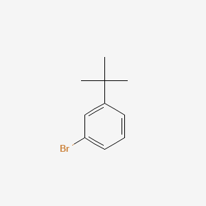 molecular formula C10H13B B1267464 1-Bromo-3-tert-butylbenzene CAS No. 3972-64-3