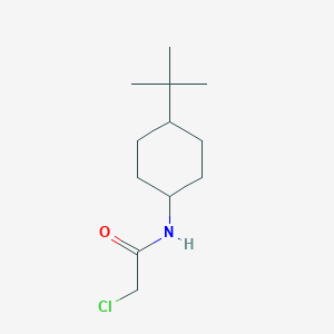 molecular formula C12H22ClNO B1267814 N-(4-tert-butylcyclohexyl)-2-chloroacetamide CAS No. 500887-21-8