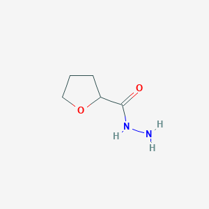 molecular formula C5H10N2O2 B1267982 四氢呋喃-2-碳酰肼 CAS No. 59293-11-7
