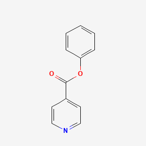 molecular formula C12H9NO2 B1268362 苯基异烟酸酯 CAS No. 94-00-8