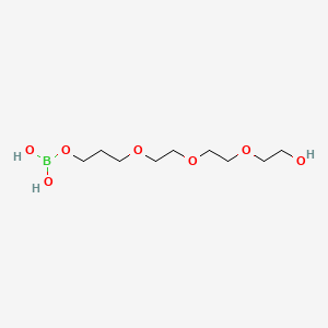 molecular formula C9H21BO7 B12684940 Einecs 297-396-2 CAS No. 93571-70-1