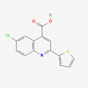 molecular formula C14H8ClNO2S B1268546 6-chloro-2-thien-2-ylquinoline-4-carboxylic acid CAS No. 33289-51-9