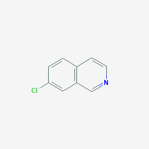 molecular formula C9H6ClN B1268606 7-Chloroisoquinoline CAS No. 34784-06-0