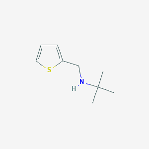 2-methyl-N-(thiophen-2-ylmethyl)propan-2-amine