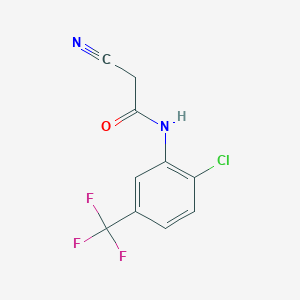 molecular formula C10H6ClF3N2O B1269157 N-[2-chloro-5-(trifluoromethyl)phenyl]-2-cyanoacetamide CAS No. 63034-98-0