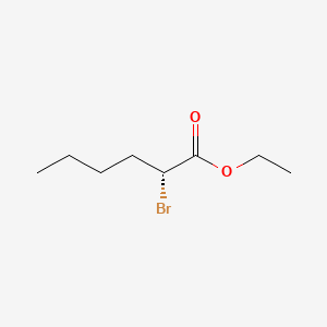 molecular formula C8H15BrO2 B12692079 Ethyl 2-bromohexanoate, (R)- CAS No. 124439-30-1