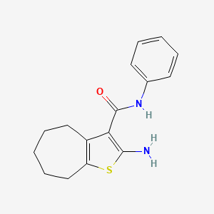 2-amino-N-phenyl-5,6,7,8-tetrahydro-4H-cyclohepta[b]thiophene-3-carboxamide