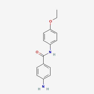 molecular formula C15H16N2O2 B1269698 4-amino-N-(4-ethoxyphenyl)benzamide 