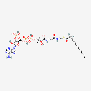molecular formula C33H56N7O17P3S B12698006 S-[2-[3-[[4-[[[5-(6-aminopurin-9-yl)-4-hydroxy-3-phosphonooxyoxolan-2-yl]methoxy-hydroxyphosphoryl]oxy-hydroxyphosphoryl]oxy-2-hydroxy-3,3-dimethylbutanoyl]amino]propanoylamino]ethyl] dodec-2-enethioate CAS No. 917-40-8