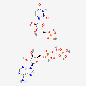molecular formula C19H29N7O22P4 B12698174 Adenosine triphosphate uridine monophosphate CAS No. 61070-25-5