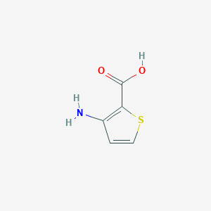 molecular formula C5H5NO2S B1270715 3-aminothiophene-2-carboxylic Acid CAS No. 55341-87-2