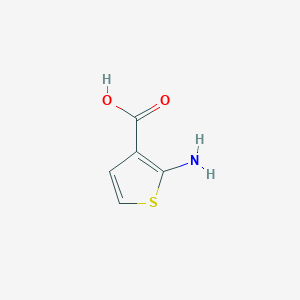 molecular formula C5H5NO2S B1270716 2-aminothiophene-3-carboxylic Acid CAS No. 56387-08-7