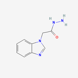 molecular formula C9H10N4O B1270948 2-(1H-benzimidazol-1-yl)acetohydrazide CAS No. 97420-39-8