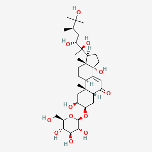 molecular formula C34H56O12 B12712808 fibraurecdyside A CAS No. 960506-35-8