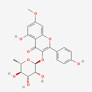 molecular formula C22H22O10 B12715537 Rhamnocitrin 3-rhamnoside CAS No. 57525-01-6
