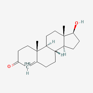 molecular formula C19H28O2 B12716977 Testosterone 4-C-14 CAS No. 633-32-9