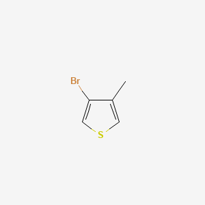 molecular formula C5H5BrS B1271868 3-Bromo-4-methylthiophene CAS No. 30318-99-1