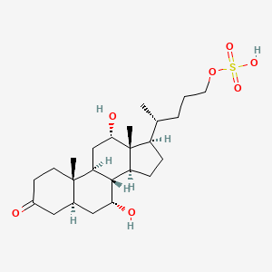 molecular formula C24H40O7S B12719100 3-Ketopetromyzonol sulfate CAS No. 435327-06-3