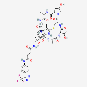 molecular formula C47H57F3N12O12S B12725926 Phalloidin, 7-(5-((1,4-dioxo-4-((4-(3-(trifluoromethyl)-3H-diazirin-3-yl)phenyl)amino)butyl)amino)-4-hydroxy-L-leucine)- CAS No. 87876-31-1