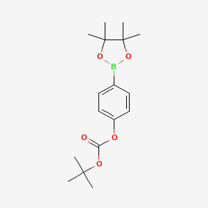 molecular formula C17H25BO5 B1272636 tert-Butyl (4-(4,4,5,5-tetramethyl-1,3,2-dioxaborolan-2-yl)phenyl) carbonate CAS No. 480438-75-3