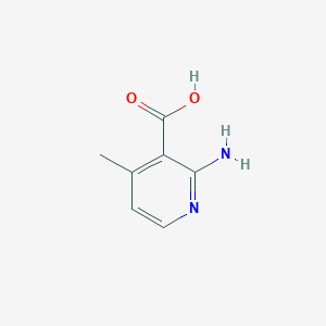 molecular formula C7H8N2O2 B1272743 2-氨基-4-甲基烟酸 CAS No. 38076-82-3