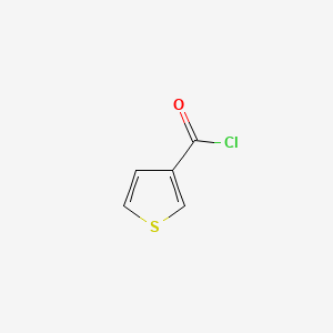 molecular formula C5H3ClOS B1272752 3-Thiophenecarbonyl chloride CAS No. 41507-35-1