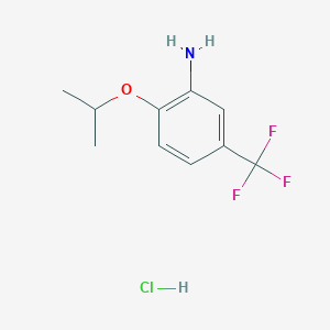 molecular formula C10H13ClF3NO B1272799 2-Isopropoxy-5-(trifluoromethyl)aniline hydrochloride 