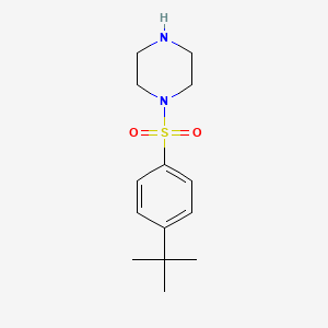 molecular formula C14H22N2O2S B1272876 1-[(4-Tert-butylphenyl)sulfonyl]piperazine CAS No. 379244-68-5