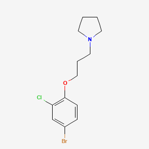 B1272991 1-(3-(4-Bromo-2-chlorophenoxy)propyl)pyrrolidine CAS No. 435291-51-3