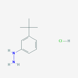 molecular formula C10H17ClN2 B1273666 1-[3-(Tert-butyl)phenyl]hydrazine hydrochloride CAS No. 306937-27-9