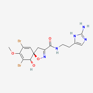 molecular formula C15H17Br2N5O4 B12737328 Pseudoceratine A CAS No. 172723-35-2