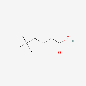 molecular formula C8H16O2 B1274113 5,5-Dimethylhexanoic acid CAS No. 24499-80-7