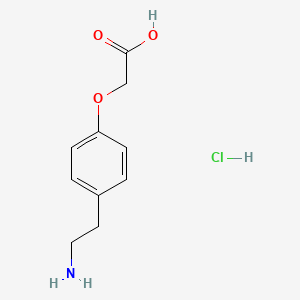 2-[4-(2-Aminoethyl)phenoxy]acetic acid hydrochloride