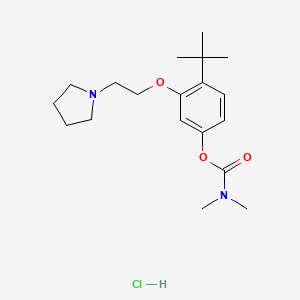 molecular formula C19H31ClN2O3 B12744061 Carbamic acid, dimethyl-, 4-(1,1-dimethylethyl)-3-(2-(1-pyrrolidinyl)ethoxy)phenyl ester, monohydrochloride CAS No. 118116-09-9