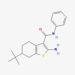 molecular formula C19H24N2OS B1274794 2-amino-6-tert-butyl-N-phenyl-4,5,6,7-tetrahydro-1-benzothiophene-3-carboxamide CAS No. 590355-63-8