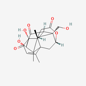 molecular formula C20H22O7 B12747971 Shinjulactone C CAS No. 82470-74-4