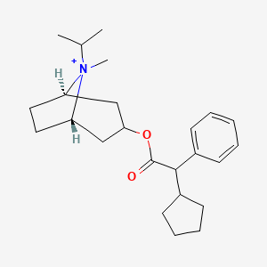 molecular formula C24H36NO2+ B12748957 Ciclotropium CAS No. 764602-65-5