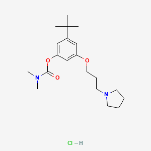 molecular formula C20H33ClN2O3 B12751215 Carbamic acid, dimethyl-, 5-(1,1-dimethylethyl)-3-(2-(1-pyrrolidinyl)propoxy)phenyl ester, monohydrochloride CAS No. 118116-20-4