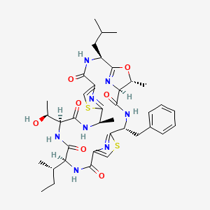 molecular formula C38H50N8O7S2 B12753339 Patellamide G CAS No. 218916-91-7