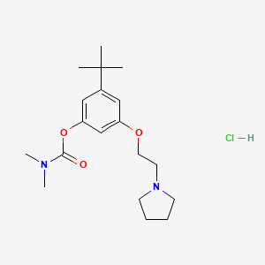 molecular formula C19H31ClN2O3 B12754326 Carbamic acid, dimethyl-, 5-(1,1-dimethylethyl)-3-(2-(1-pyrrolidinyl)ethoxy)phenyl ester, monohydrochloride CAS No. 118116-18-0