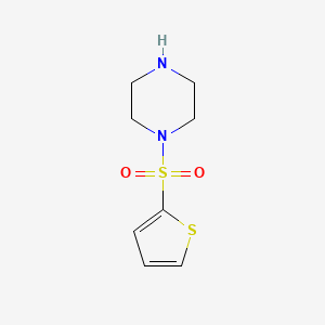 molecular formula C8H12N2O2S2 B1275707 1-(Thien-2-ylsulfonyl)piperazine CAS No. 565178-12-3