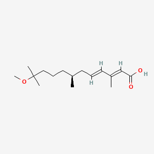 molecular formula C16H28O3 B12758793 (2E,4E,7S)-11-Methoxy-3,7,11-trimethyl-2,4-dodecadienoic acid CAS No. 207597-75-9
