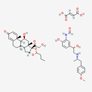 molecular formula C48H62N2O14 B12759185 Foradil-Combi CAS No. 150693-38-2